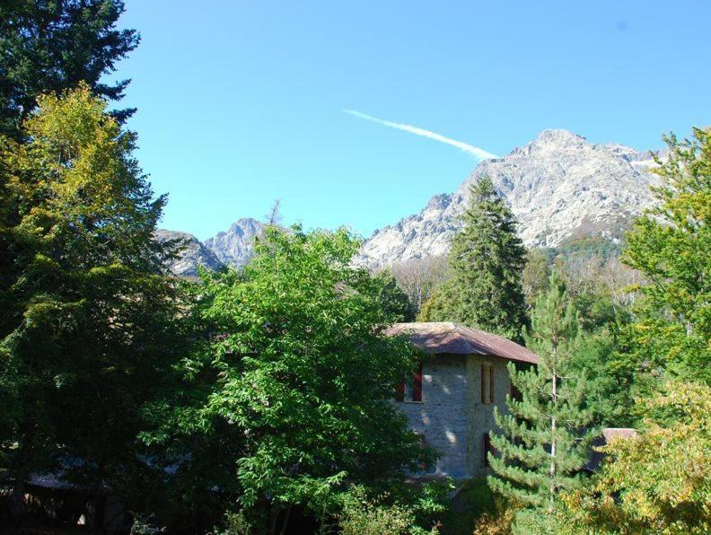 Monte D'oro